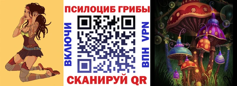 Галлюциногенные грибы мицелий  купить   Заволжье 